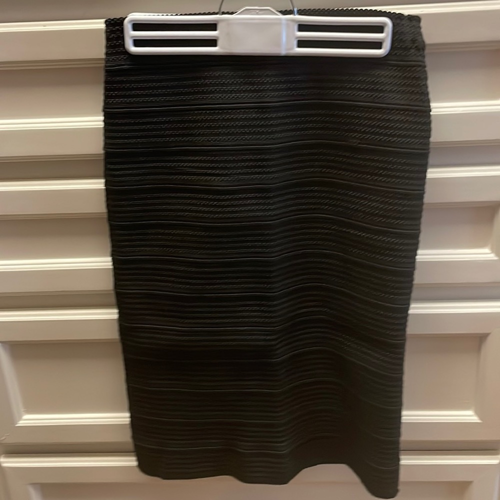 Zara Pencil Skirt